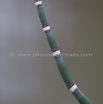 Equisetum hyemale Winter_Schachtelhalm Rough horsetail.jpg